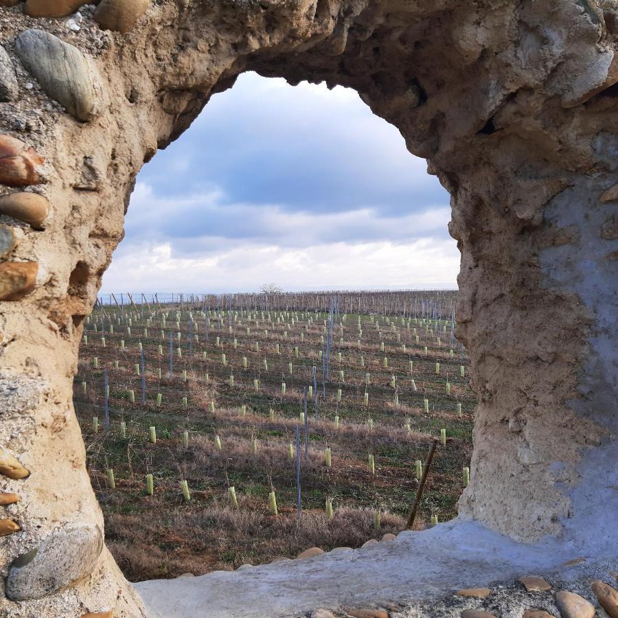 Le Pressoir Villa Mercurol-Veaunes Luaran gambar