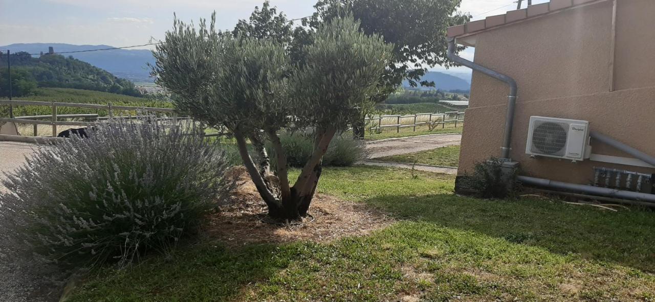 Le Pressoir Villa Mercurol-Veaunes Luaran gambar