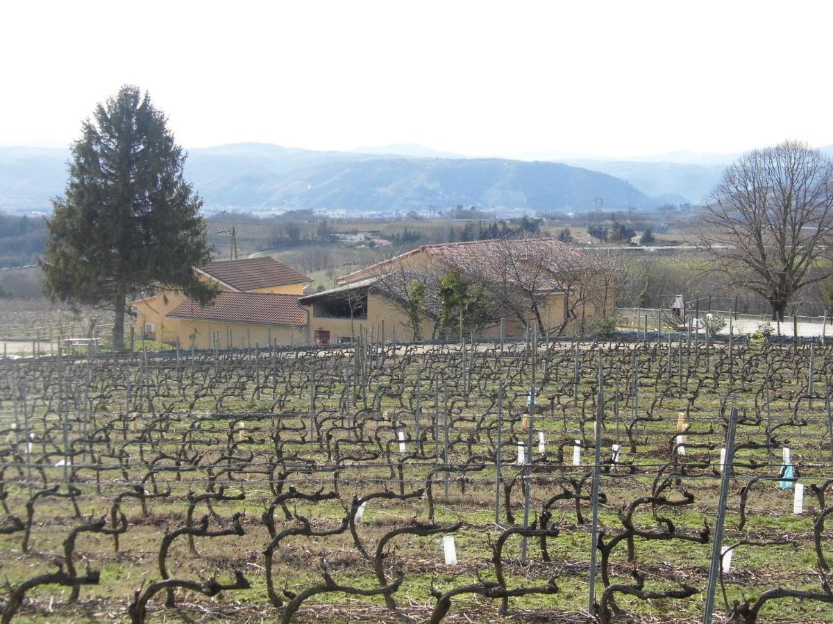Le Pressoir Villa Mercurol-Veaunes Luaran gambar